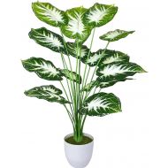 Areca Sztuczna palma w doniczce - 77 cm - 71q4yd-w6nl._ac_sx522_.jpg