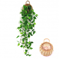 Bluszcz- sztuczna roślina 105cm - bluszcz0.jpg
