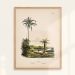 Plakat - palma 30x40cm